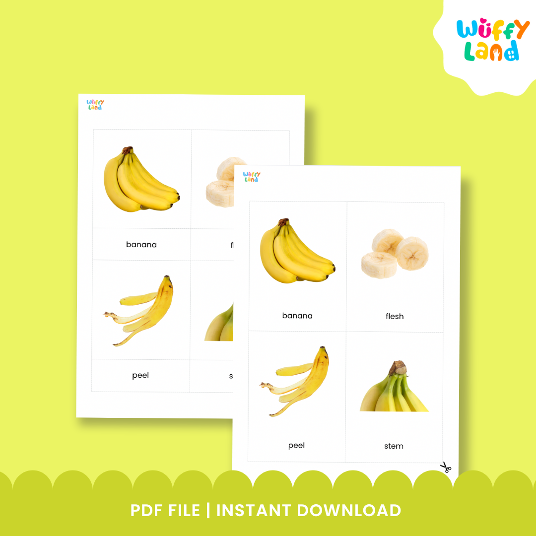 Banana anatomy flashcard set featuring realistic images of banana parts such as the whole banana, leaf, seeds, and flesh. Includes three part cards with matching labels and control cards for Montessori learning activities. Designed to help children identify and learn the different parts of a banana through hands-on matching and vocabulary practice.