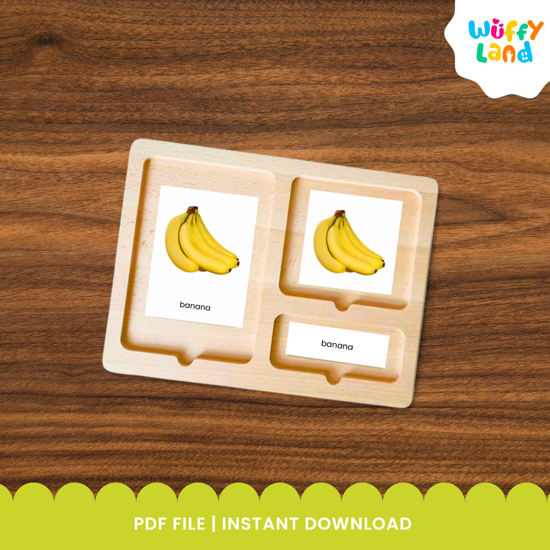 Banana anatomy flashcard set featuring realistic images of banana parts such as the whole banana, leaf, seeds, and flesh. Includes three part cards with matching labels and control cards for Montessori learning activities. Designed to help children identify and learn the different parts of a banana through hands-on matching and vocabulary practice.