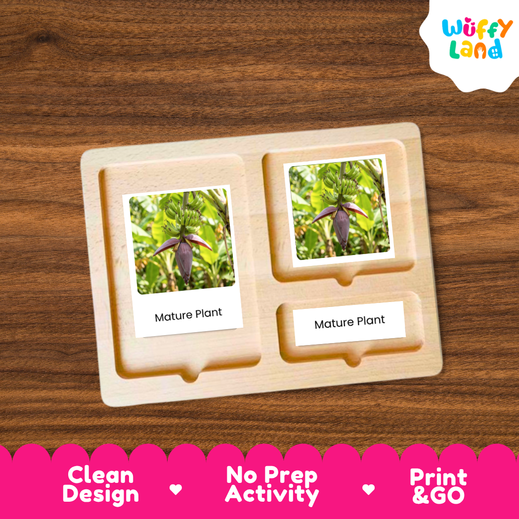 A wooden educational activity tray from Wuffy Land, featuring two compartments displaying photo cards labeled 'Mature Plant' over a wood background. The bottom of the image has a pink banner with text highlighting product features: 'Clean Design', 'No Prep Activity', and 'Print & GO'.