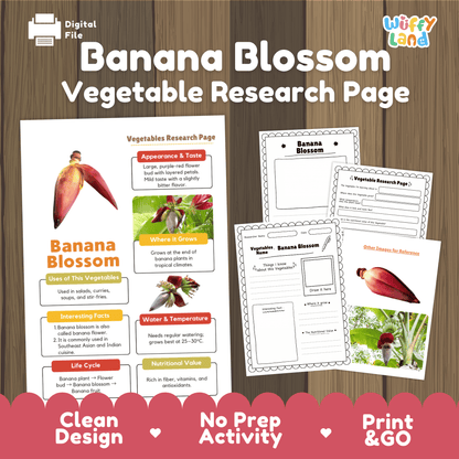 Banana Blossom Research Activity Worksheet Science Vegetable Edible Flower