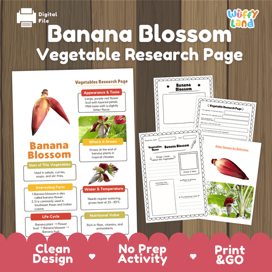 Banana Blossom Research Activity Worksheet Science Vegetable Edible Flower