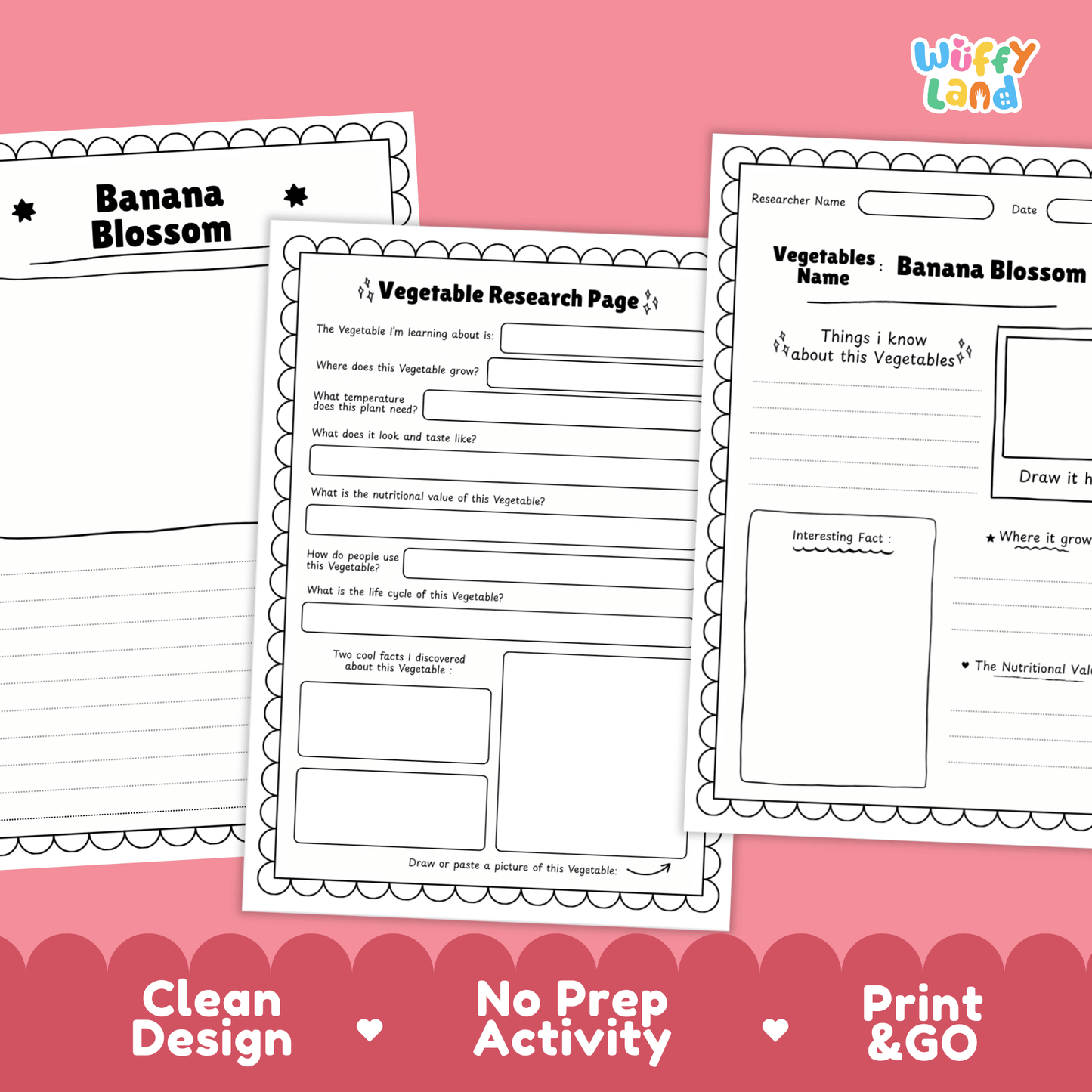 Banana Blossom Research Activity Worksheet Science Vegetable Edible Flower