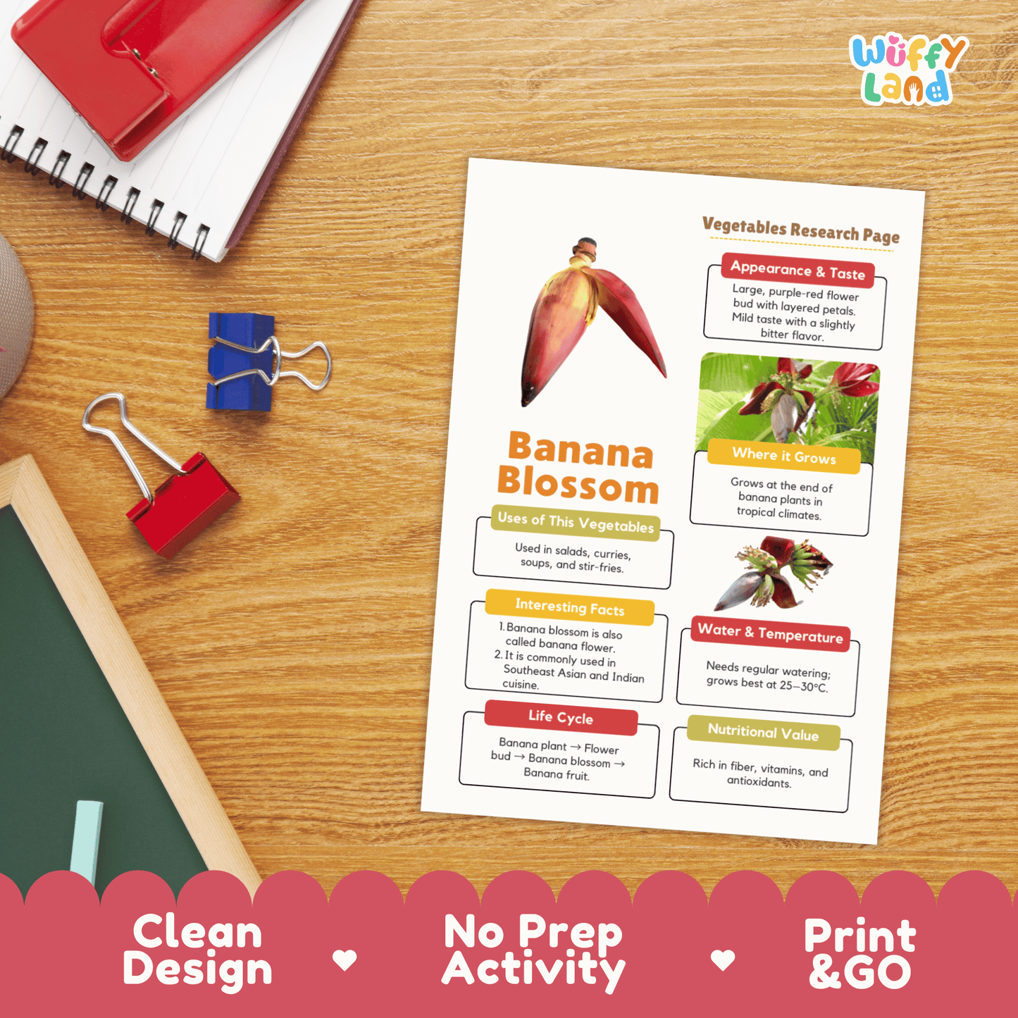 Banana Blossom Research Activity Worksheet Science Vegetable Edible Flower