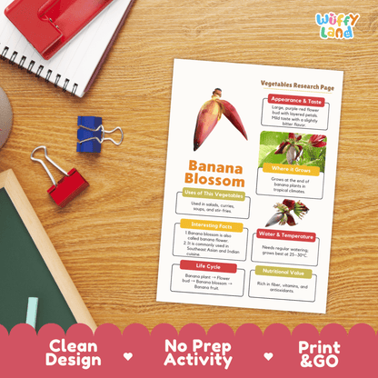 Banana Blossom Research Activity Worksheet Science Vegetable Edible Flower