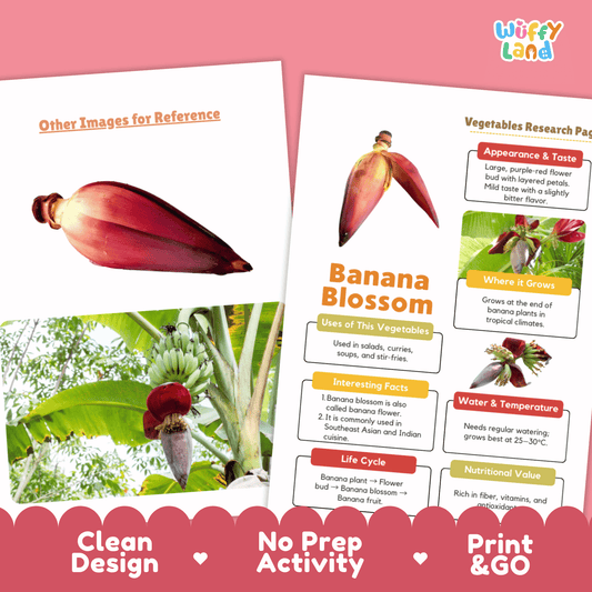 Banana Blossom Research Activity Worksheet Science Vegetable Edible Flower
