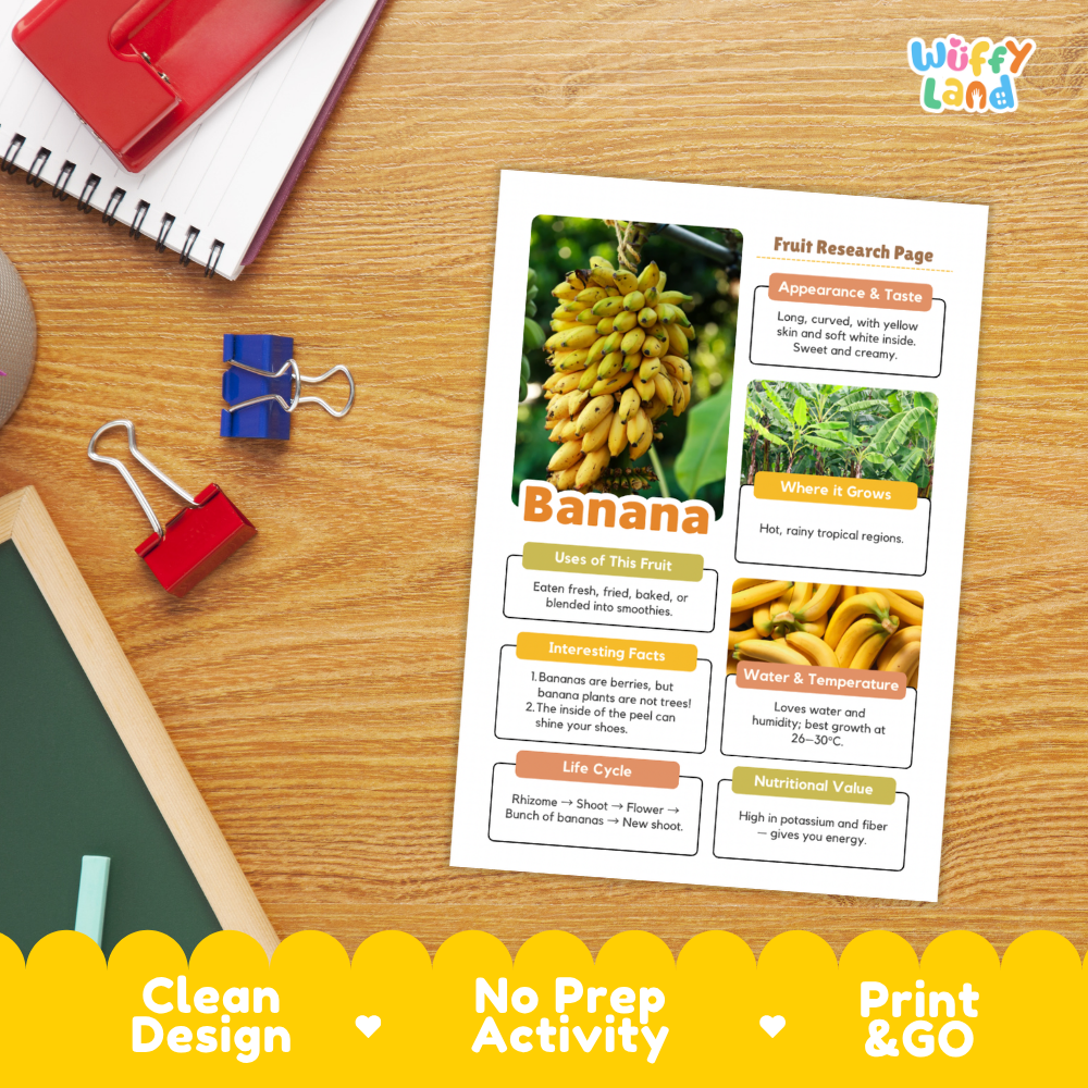 A printed banana fruit research page with colorful text boxes and photos of banana plants and fruit, placed on a wooden desk with school supplies around it. The page has a white background and the brand name 'Wiffly Land' appears in the top right corner.