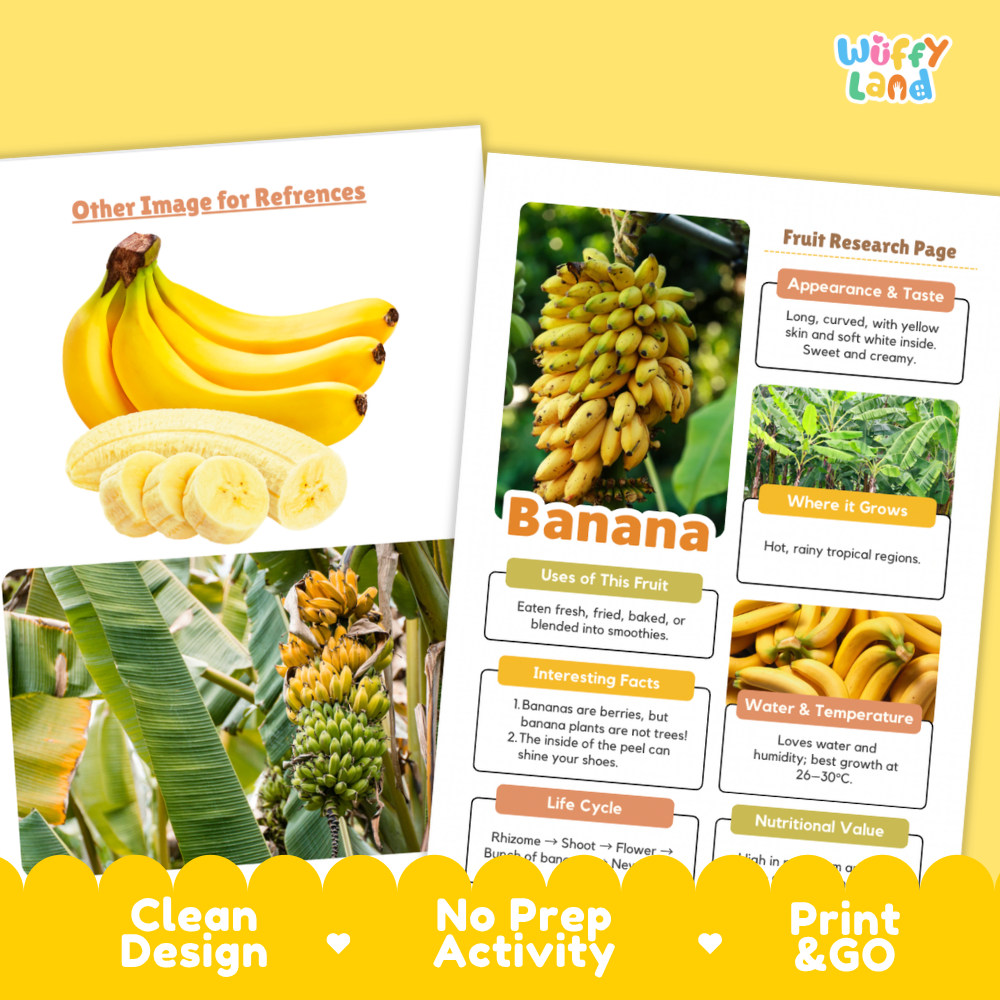 Two printed banana-themed reference/activity sheets from Wiffly Land, shown on a yellow background. The sheets include banana photos, labeled sections about banana appearance, uses, where it grows, interesting facts, life cycle, and a reference image area, with promotional text at the bottom reading Clean Design, No Prep Activity, and Print & Go.