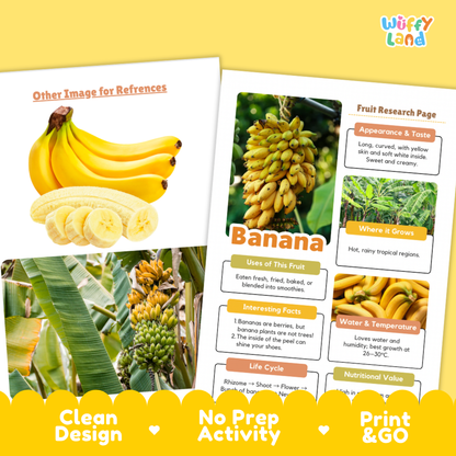 Two printed banana-themed reference/activity sheets from Wiffly Land, shown on a yellow background. The sheets include banana photos, labeled sections about banana appearance, uses, where it grows, interesting facts, life cycle, and a reference image area, with promotional text at the bottom reading Clean Design, No Prep Activity, and Print & Go.