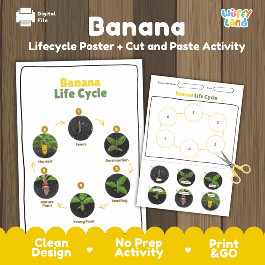 Printable banana 6-stage life cycle cut and paste worksheet with real photographs of seeds, germination, seedling, young plant, mature plant, and harvest ✂️🔄