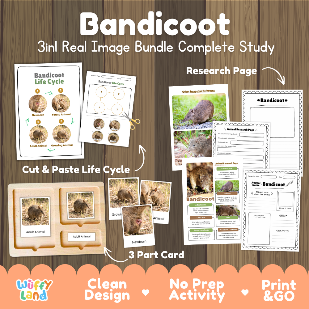 Bandicoot 3-in-1 real image bundle complete study cover showing cut and paste life cycle, 3 part cards, and research pages