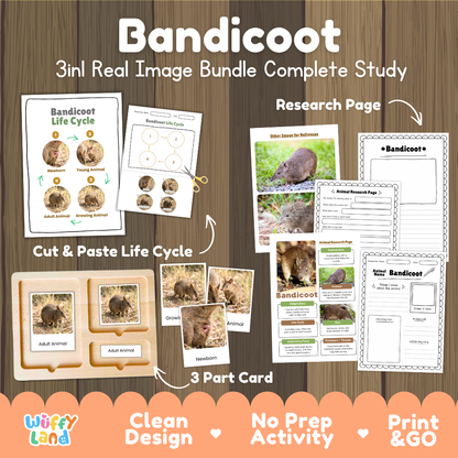 Bandicoot 3-in-1 real image bundle complete study cover showing cut and paste life cycle, 3 part cards, and research pages