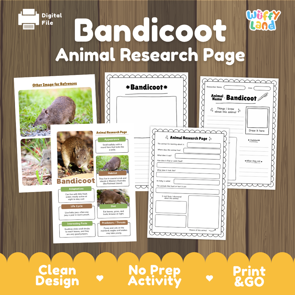 Digital preview of a Bandicoot Animal Research Page activity sheet set by Wiffly Land, displayed on a wood-grain background with promotional text and feature badges.