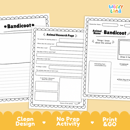 Bandicoot Animal Research Page Worksheets