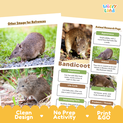 Educational activity sheet about bandicoots from the brand Wiffly Land, featuring animal research pages with photos of bandicoots, a reference image note, and promotional text badges at the bottom.