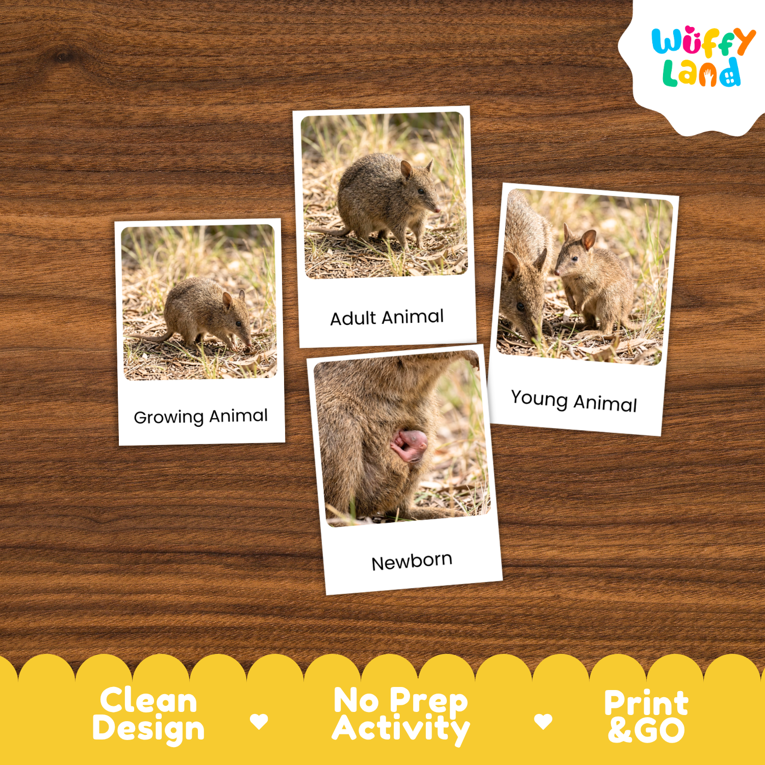 Four animal identification cards showing different stages of an animal's life (Growing Animal, Adult Animal, Young Animal, Newborn) arranged on a wooden background. The brand logo 'Wuffy Land' is visible in the top right corner.