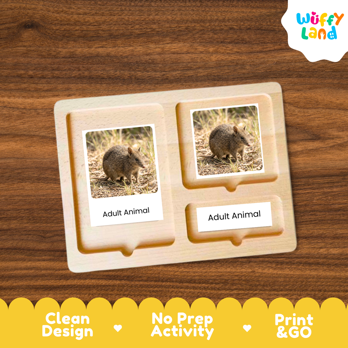 A wooden Montessori-style activity board with two labeled slots reading 'Adult Animal' and printed photos of a rodent, shown on a wood surface. The Wuffy Land logo appears in the top right, and a yellow marketing banner at the bottom highlights clean design, no prep activity, and print & go use.