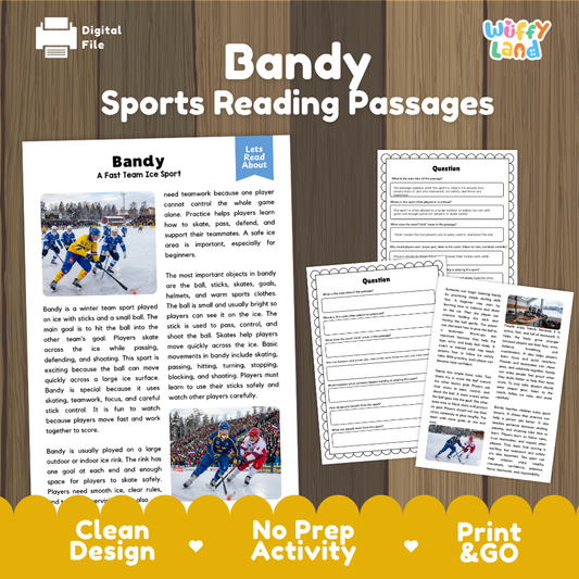 Bandy Sports Reading Passages and Comprehension Questions Worksheets