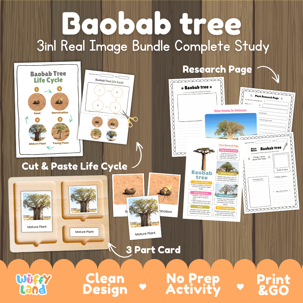Baobab tree 3in1 real image bundle complete study printable featuring life cycle cut and paste worksheets, Montessori 3-part cards, and research pages