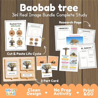 Baobab tree 3in1 real image bundle complete study printable featuring life cycle cut and paste worksheets, Montessori 3-part cards, and research pages