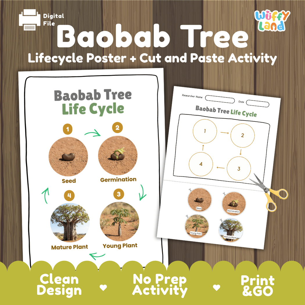 Baobab Tree Life Cycle Poster and Cut and Paste Activity Worksheet