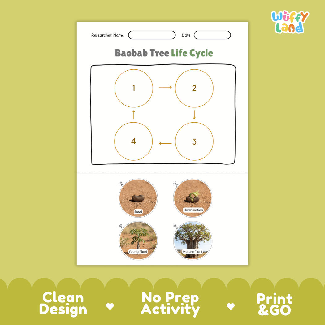 Baobab Tree Life Cycle Poster and Cut and Paste Activity Worksheet