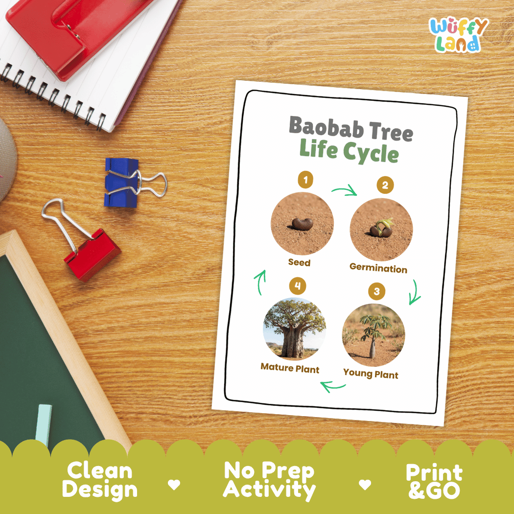 Baobab Tree Life Cycle Poster and Cut and Paste Activity Worksheet