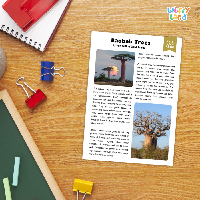 Baobab Tree Plant Reading Passages and Comprehension Questions Worksheets
