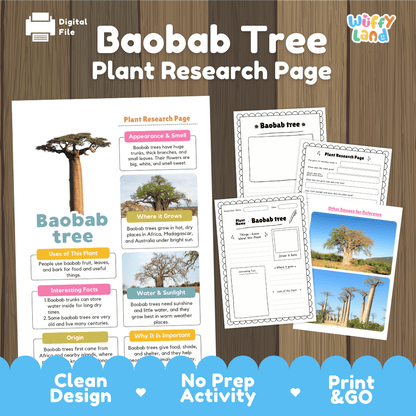 Baobab Tree Plant Research Page Worksheets and Graphic Organizers