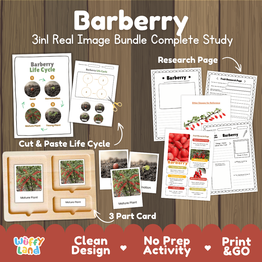 Complete Barberry 3-in-1 real image study bundle featuring cut and paste worksheets, Montessori 3-part cards, and research pages 🍒🌱