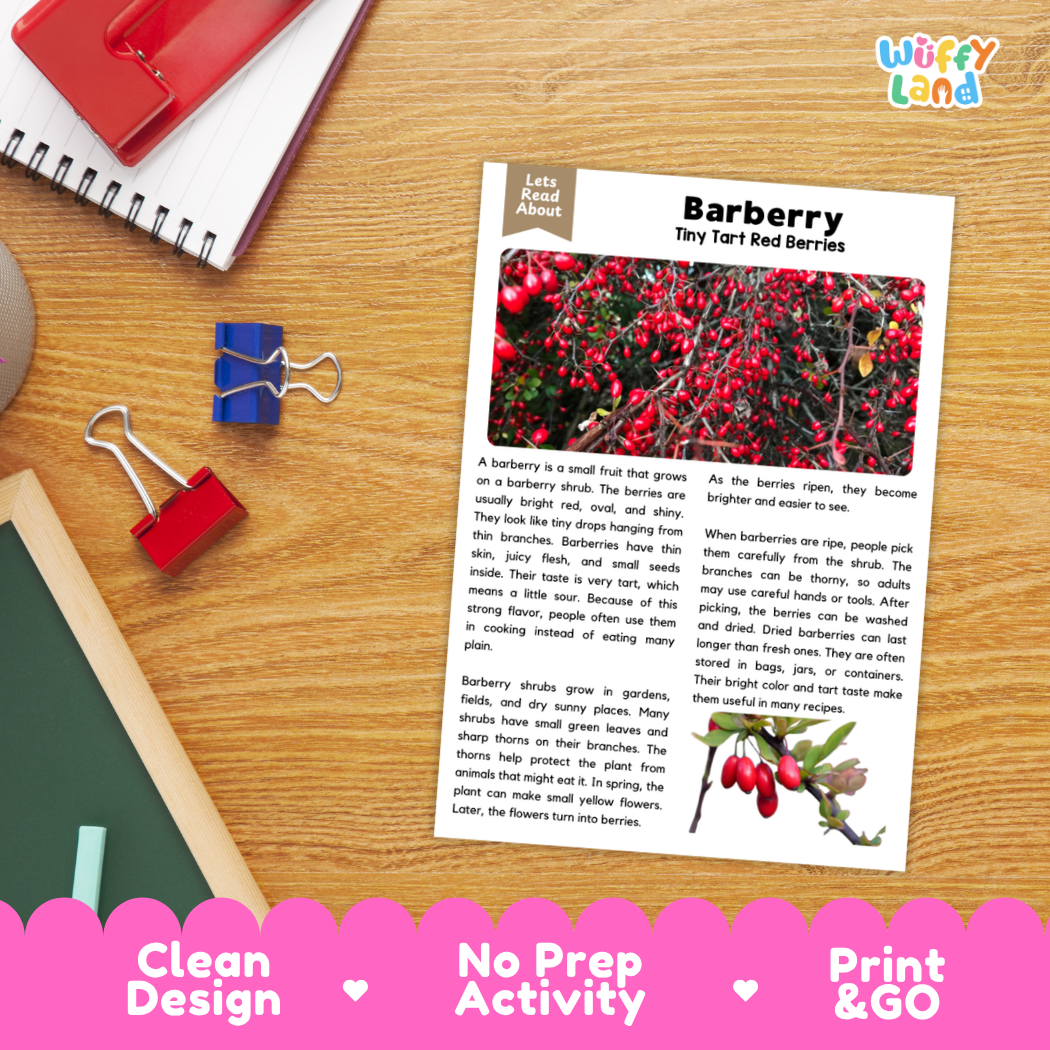 Student reading comprehension worksheet with short-answer questions and lined sections about barberry berries