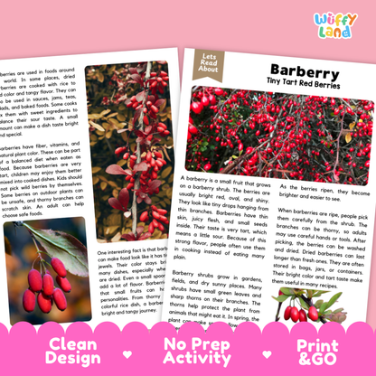 Teacher answer key page showing complete question solutions for barberry reading comprehension practice