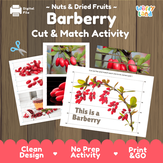 Barberry Cut and Match Activity Worksheets | Nuts and Dried Fruits Puzzle Printables