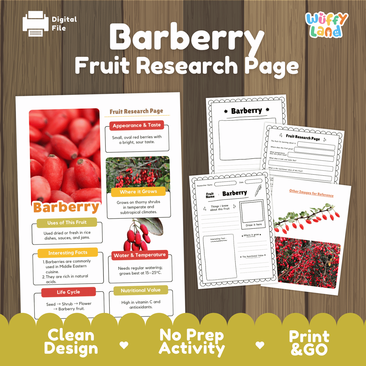 Barberry Fruit Research Project | Exotic Fruits | Middle Eastern Food Science