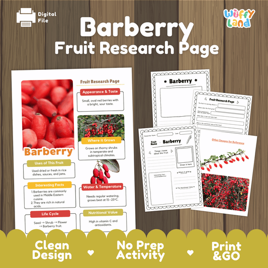Barberry Fruit Research Project | Exotic Fruits | Middle Eastern Food Science