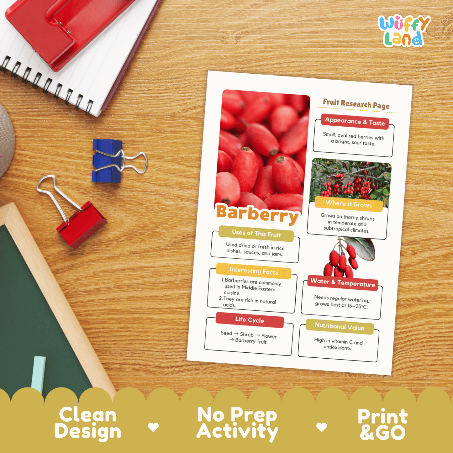 Barberry Fruit Research Project | Exotic Fruits | Middle Eastern Food Science