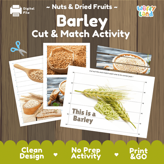 Barley Cut and Match Activity Worksheets | Nuts and Dried Fruits Puzzle Printables