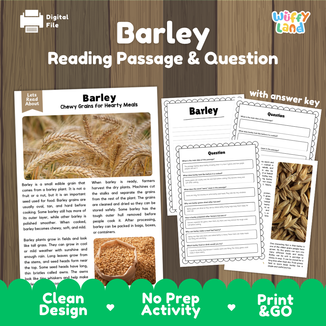 Barley Reading Passage and Comprehension Questions Worksheets with Answer Key