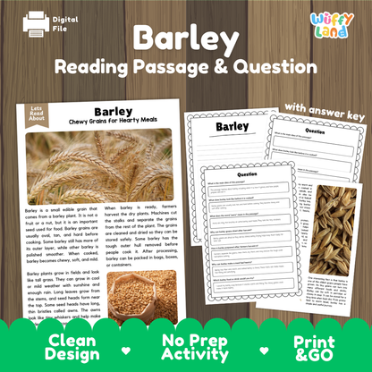 Barley Reading Passage and Comprehension Questions Worksheets with Answer Key