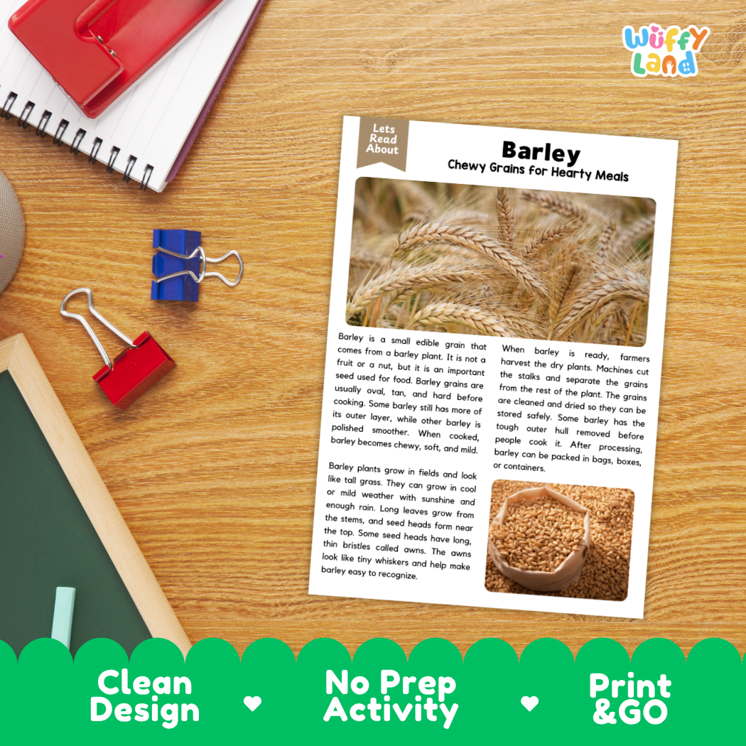 Barley Reading Passage and Comprehension Questions Worksheets with Answer Key