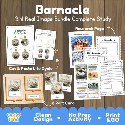 Barnacle 3-in-1 real image bundle complete study cover showing cut and paste life cycle, 3 part cards, and research pages