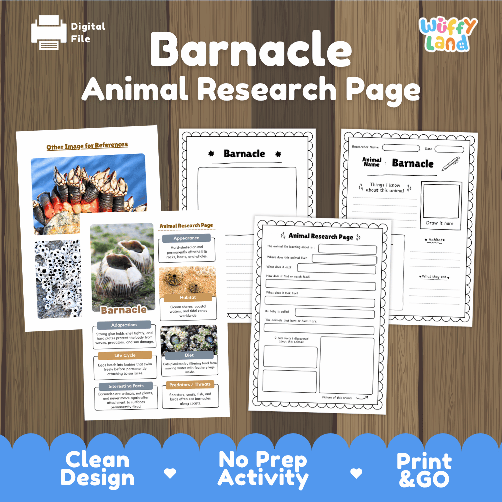 Barnacle Animal Research Page and Worksheets
