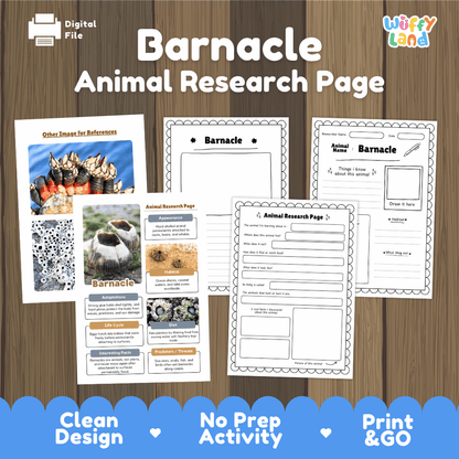 Barnacle Animal Research Page and Worksheets