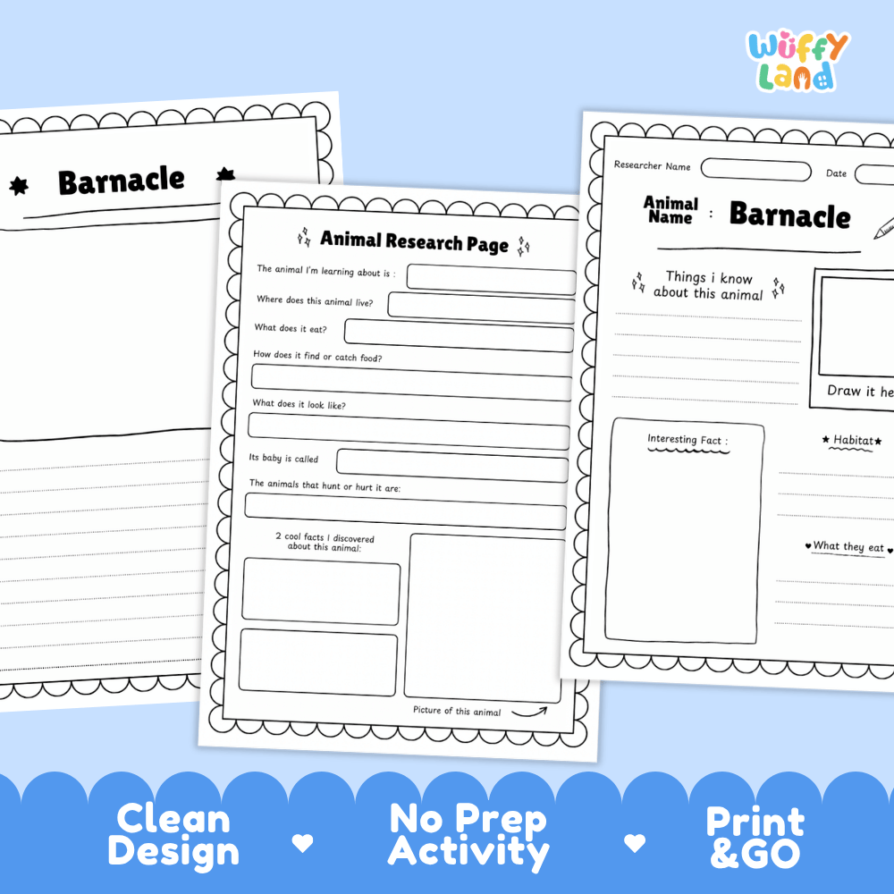 Barnacle Animal Research Page and Worksheets