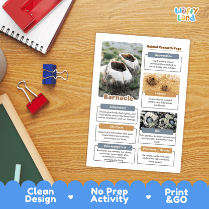 Barnacle Animal Research Page and Worksheets
