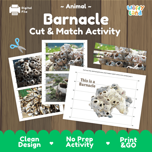 Barnacle Cut and Match Activity Worksheets | Ocean Animal Puzzle Printables