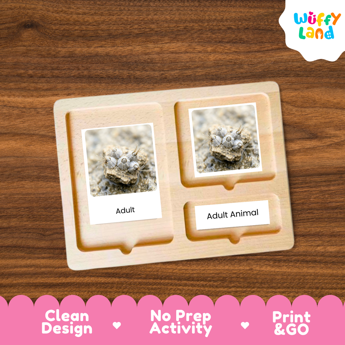 A wooden Montessori-style activity board with two labeled slots reading 'Adult' and 'Adult Animal,' each holding a small photo card, shown on a wood-grain background. A 'Wuffy Land' logo appears in the top right, and a pink banner at the bottom highlights 'Clean Design,' 'No Prep Activity,' and 'Print & GO.