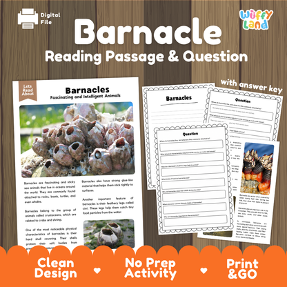 Barnacle Reading Passage and Comprehension Questions with Answer Key Worksheets