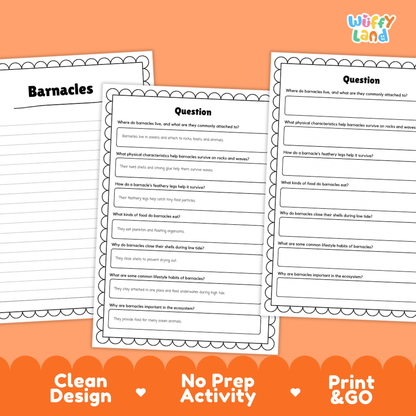 Barnacle Reading Passage and Comprehension Questions with Answer Key Worksheets