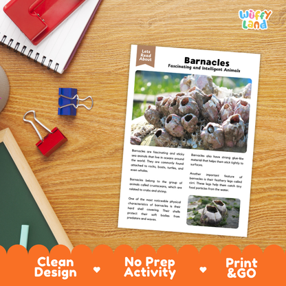 An educational worksheet titled 'Barnacles Fascinating and Intelligent Animals' displayed on a wooden desk with a decorative orange banner at the bottom reading 'Clean Design', 'No Prep Activity', and 'Print & GO'. The worksheet features text and two photographs of barnacles.