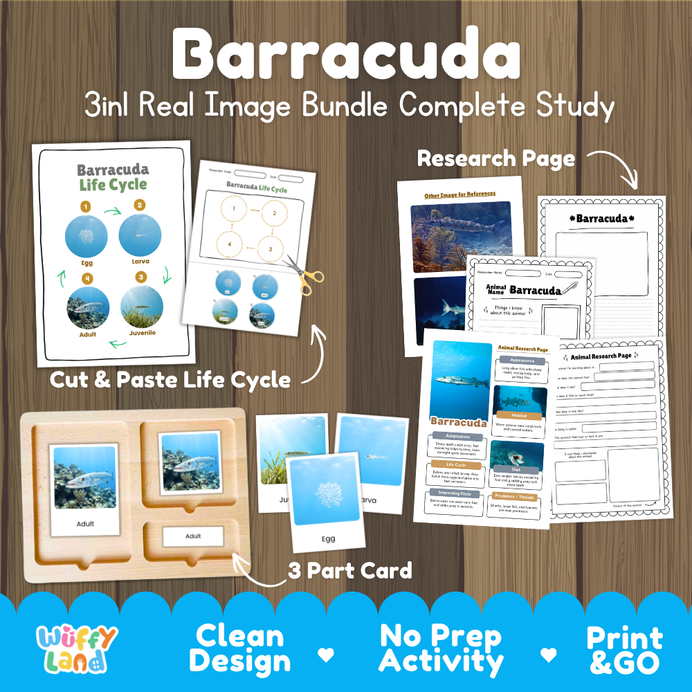 Barracuda 3-in-1 real image bundle complete study cover showing cut and paste life cycle, 3 part cards, and research pages